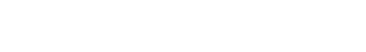 BECAM • David Bécam